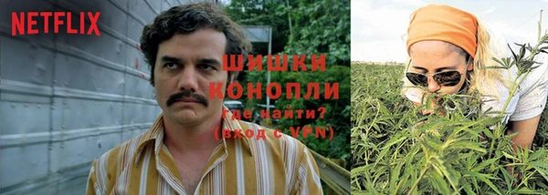 гидра Алзамай