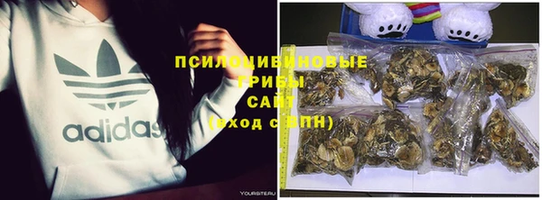 мяу мяу мука Алексин